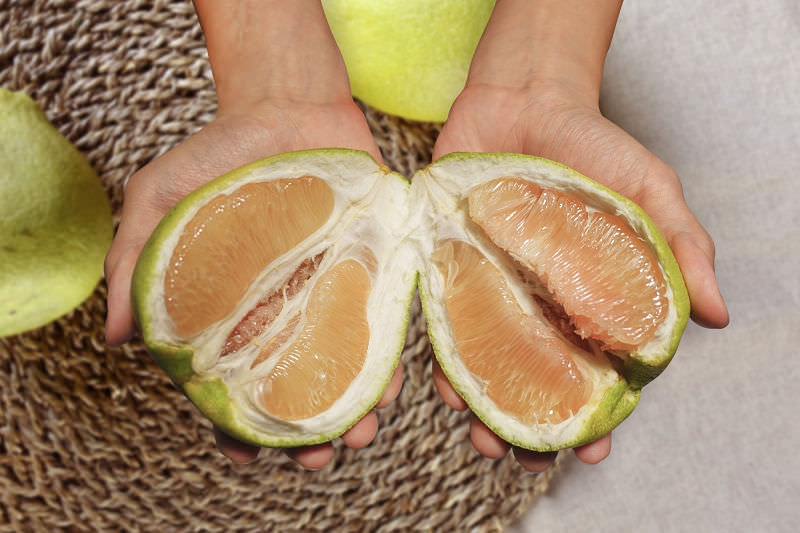 中秋節文旦禮盒!產地咬一口文旦特選最強產地臺南麻豆!甜度保證11度以上?TAP產銷履歷認證!