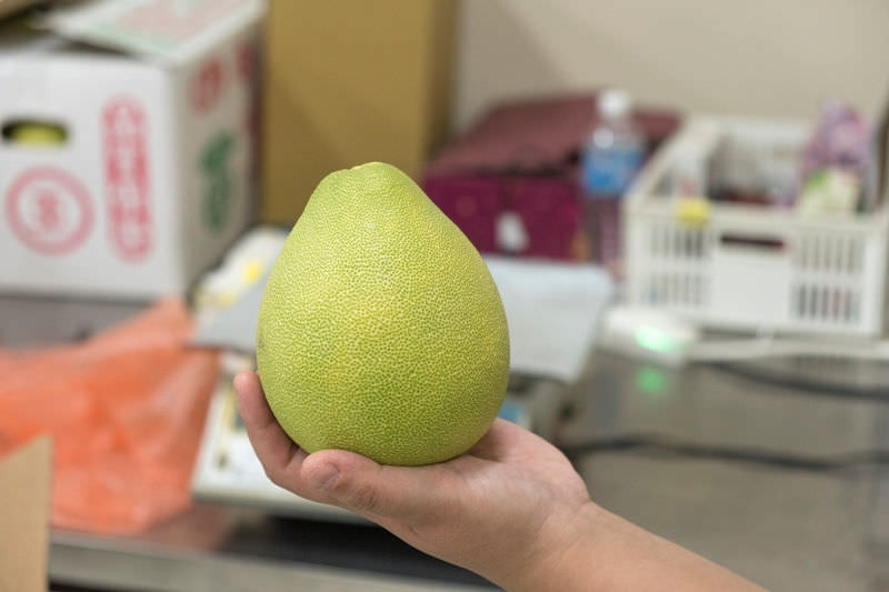 中秋節文旦禮盒!產地咬一口文旦特選最強產地臺南麻豆!甜度保證11度以上?TAP產銷履歷認證!