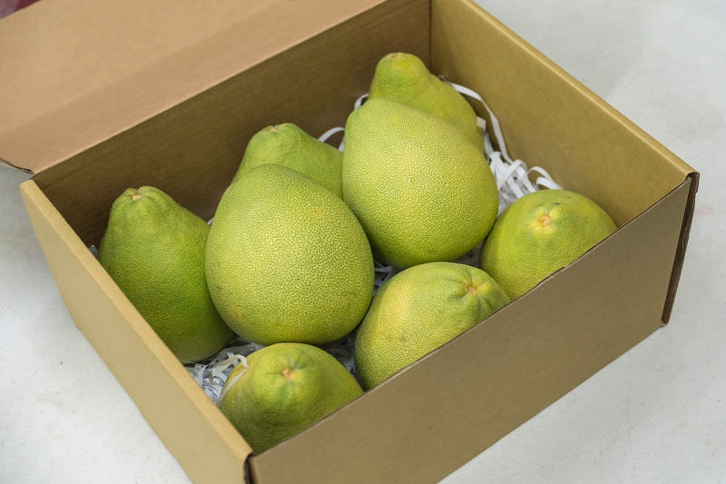 中秋節文旦禮盒!產地咬一口文旦特選最強產地臺南麻豆!甜度保證11度以上?TAP產銷履歷認證!