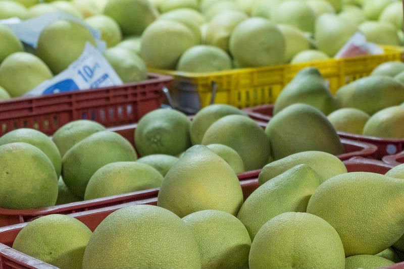 中秋節文旦禮盒!產地咬一口文旦特選最強產地臺南麻豆!甜度保證11度以上?TAP產銷履歷認證!