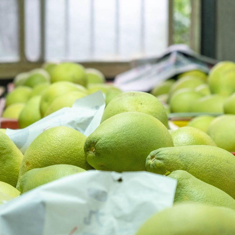 中秋節文旦禮盒!產地咬一口文旦特選最強產地臺南麻豆!甜度保證11度以上?TAP產銷履歷認證!