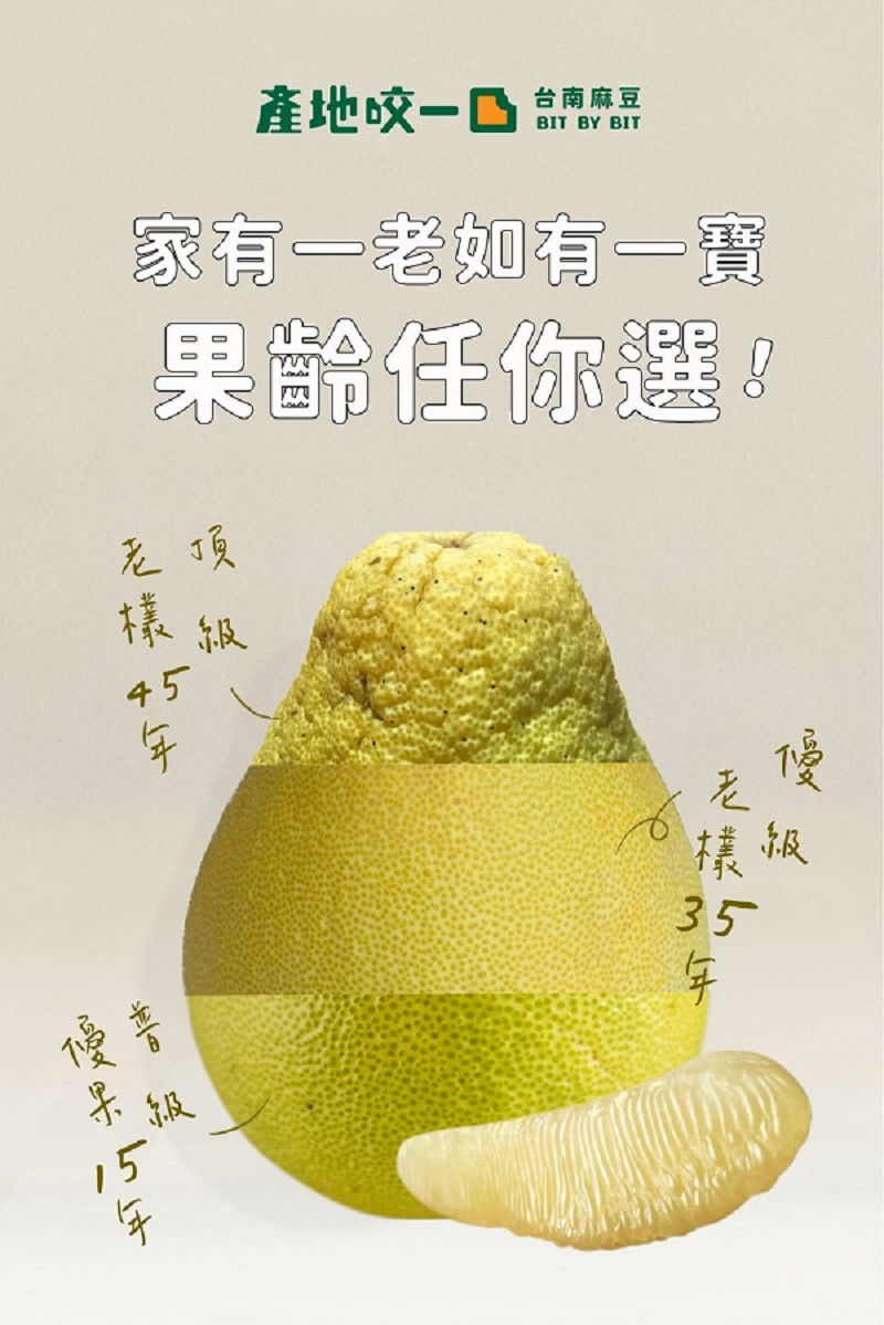 中秋節文旦禮盒!產地咬一口文旦特選最強產地臺南麻豆!甜度保證11度以上?TAP產銷履歷認證!