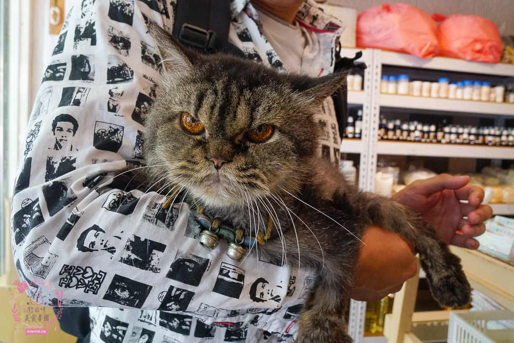 高雄鳳山三民路佛具家具街美食景點推薦!鳳山小吃美食|人文歷史景點|精緻佛具|家俱擺設|鳳山小旅行 - 第36張圖 高雄鳳山三民路佛具家具街美食景點推薦!鳳山小吃美食|人文歷史景點|精緻佛具|家俱擺設|鳳山小旅行