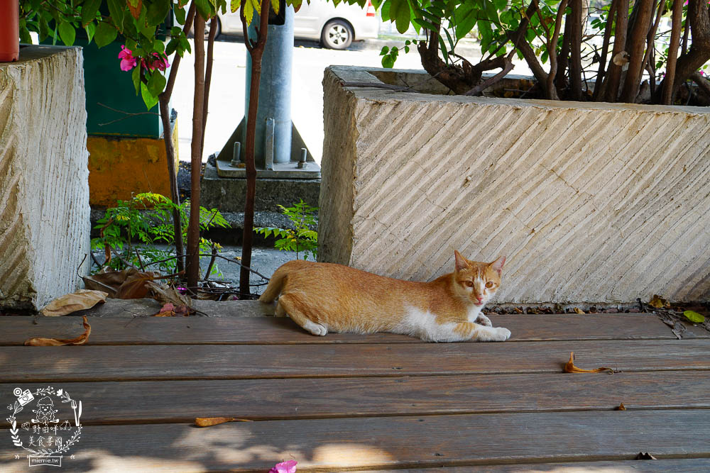 高雄不咖啡 BuCafe~隱藏在美術館附近的靜謐又神秘的樹屋咖啡廳!彷彿走進龍貓的童趣世界!