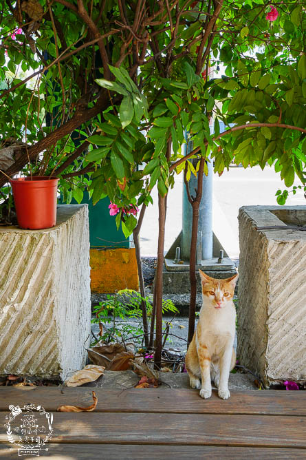 高雄不咖啡 BuCafe~隱藏在美術館附近的靜謐又神秘的樹屋咖啡廳!彷彿走進龍貓的童趣世界!