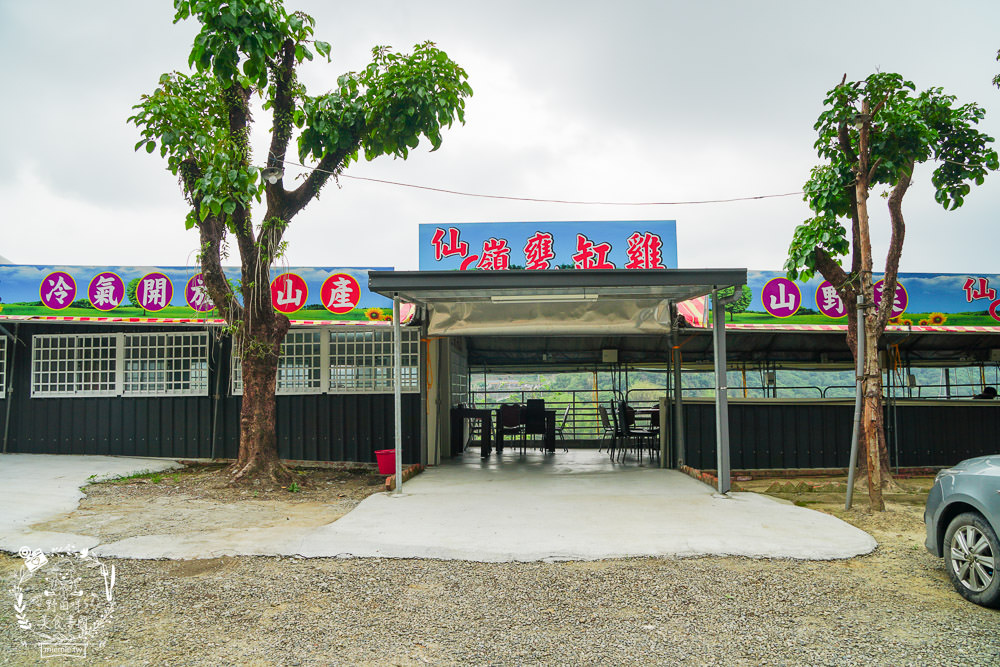 台南關子嶺甕仔雞推薦[仙嶺甕缸雞]每天現宰溫體雞肥美出爐!烤雞包覆滿滿的蒜頭與茄苳葉?