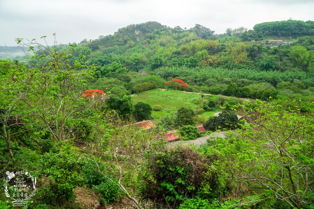 台南關子嶺甕仔雞推薦[仙嶺甕缸雞]每天現宰溫體雞肥美出爐!烤雞包覆滿滿的蒜頭與茄苳葉?