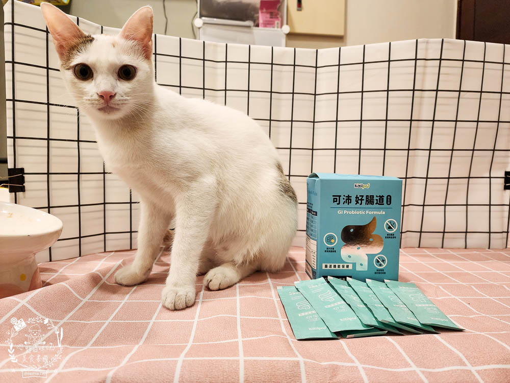 寵物益生菌推薦[Koolpal可沛寵藥好腸道益生菌]複合芽孢桿菌群幫助便便順暢又減少臭味!適口性佳益生菌推薦