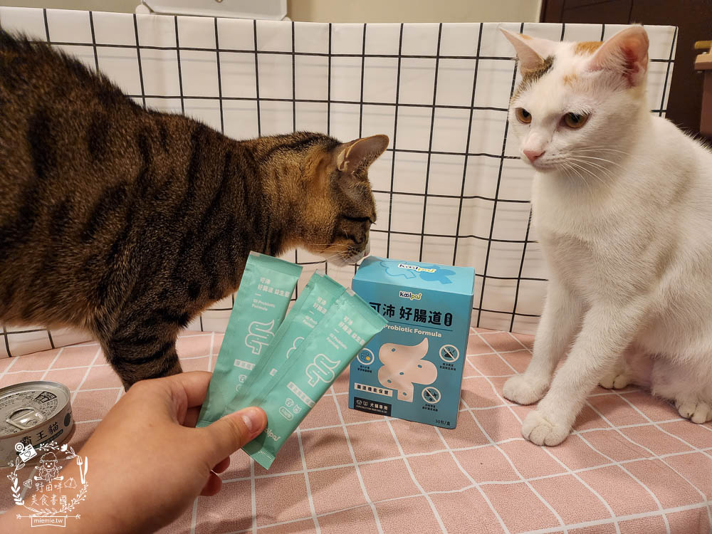 寵物益生菌推薦[Koolpal可沛寵藥好腸道益生菌]複合芽孢桿菌群幫助便便順暢又減少臭味!適口性佳益生菌推薦