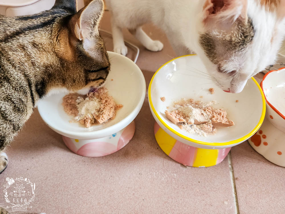 寵物益生菌推薦[Koolpal可沛寵藥好腸道益生菌]複合芽孢桿菌群幫助便便順暢又減少臭味!適口性佳益生菌推薦