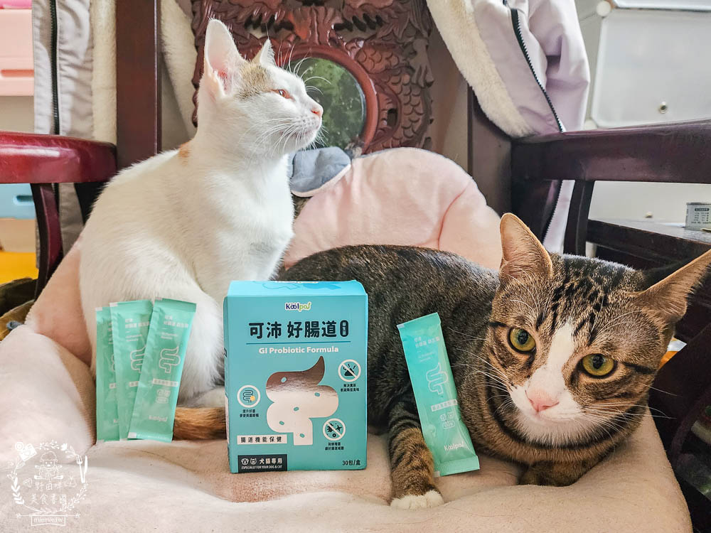 寵物益生菌推薦[Koolpal可沛寵藥好腸道益生菌]複合芽孢桿菌群幫助便便順暢又減少臭味!適口性佳益生菌推薦