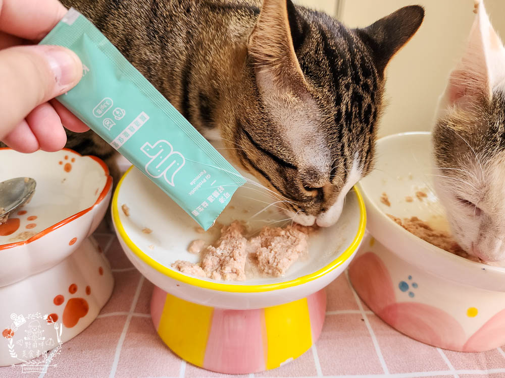 寵物益生菌推薦[Koolpal可沛寵藥好腸道益生菌]複合芽孢桿菌群幫助便便順暢又減少臭味!適口性佳益生菌推薦