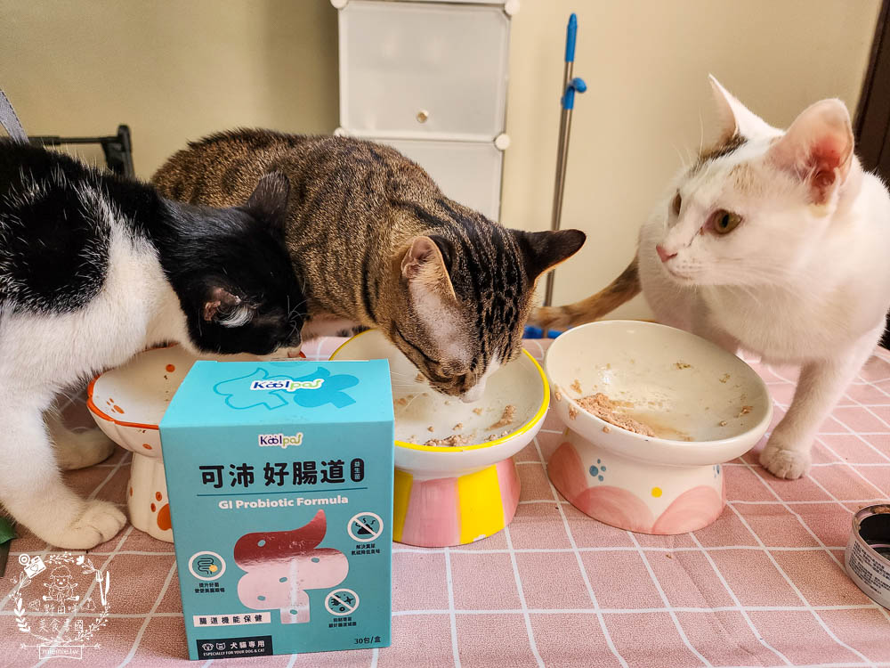 寵物益生菌推薦[Koolpal可沛寵藥好腸道益生菌]複合芽孢桿菌群幫助便便順暢又減少臭味!適口性佳益生菌推薦