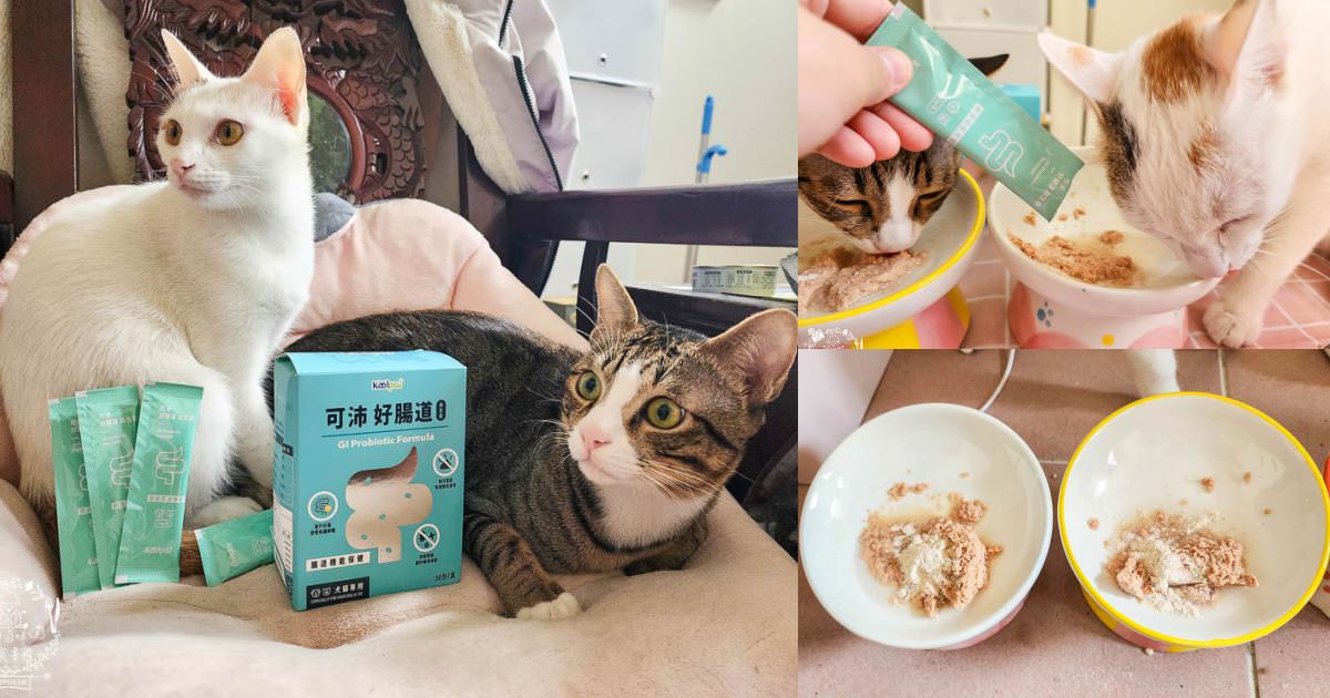 寵物益生菌推薦[Koolpal可沛寵藥好腸道益生菌]複合芽孢桿菌群幫助便便順暢又減少臭味!適口性佳益生菌推薦