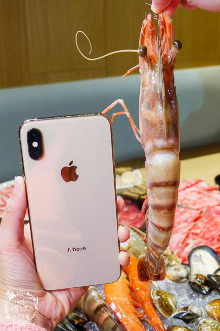 高雄和牛火鍋吃到飽[和牛祭鍋物放題]日本A5和牛+澳洲black more9+和牛吃到飽!