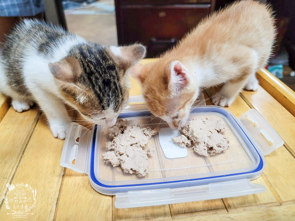 喵樂肉食控評價!喵樂肉食控主食罐高達98%含肉量!有SGS成分分析報告也符合AAFCO、NRC|超高含肉量貓罐開箱