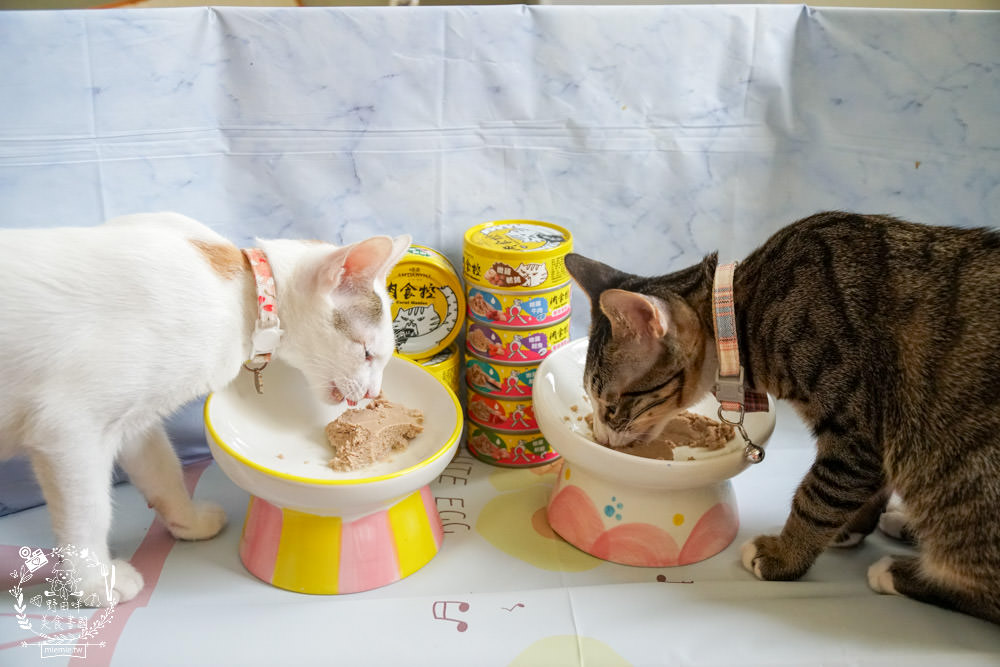 喵樂肉食控評價!喵樂肉食控主食罐高達98%含肉量!有SGS成分分析報告也符合AAFCO、NRC|超高含肉量貓罐開箱