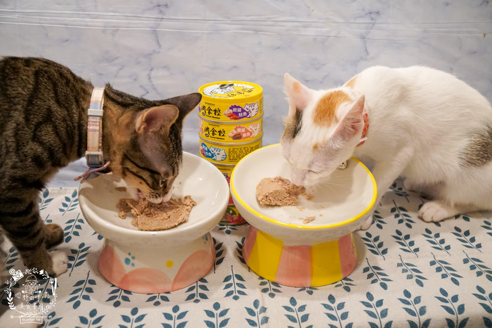 喵樂肉食控評價!喵樂肉食控主食罐高達98%含肉量!有SGS成分分析報告也符合AAFCO、NRC|超高含肉量貓罐開箱