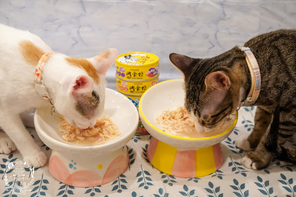 喵樂肉食控評價!喵樂肉食控主食罐高達98%含肉量!有SGS成分分析報告也符合AAFCO、NRC|超高含肉量貓罐開箱