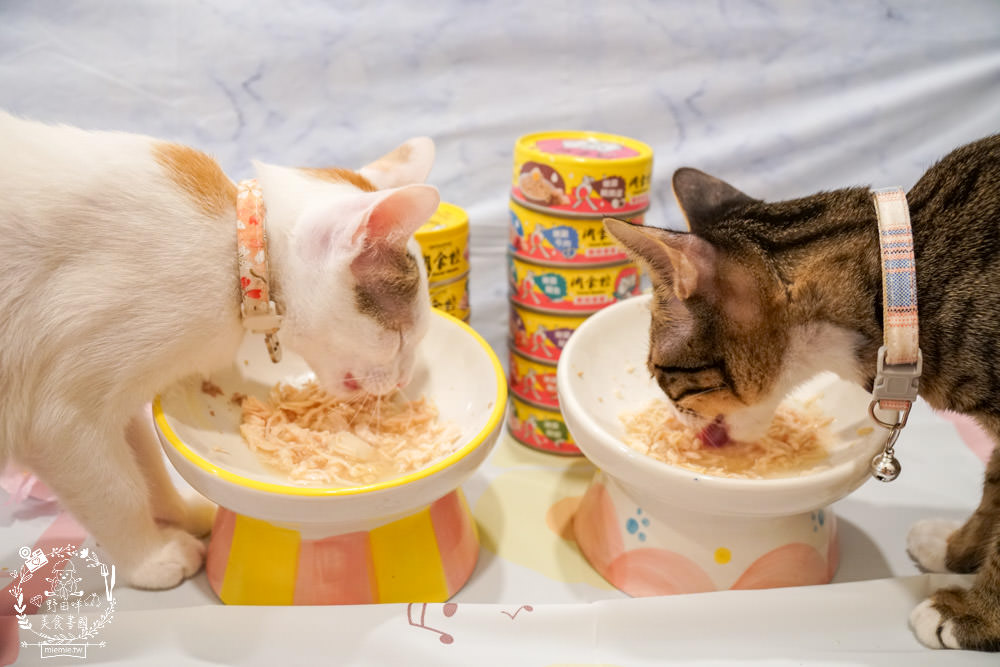 喵樂肉食控評價!喵樂肉食控主食罐高達98%含肉量!有SGS成分分析報告也符合AAFCO、NRC|超高含肉量貓罐開箱