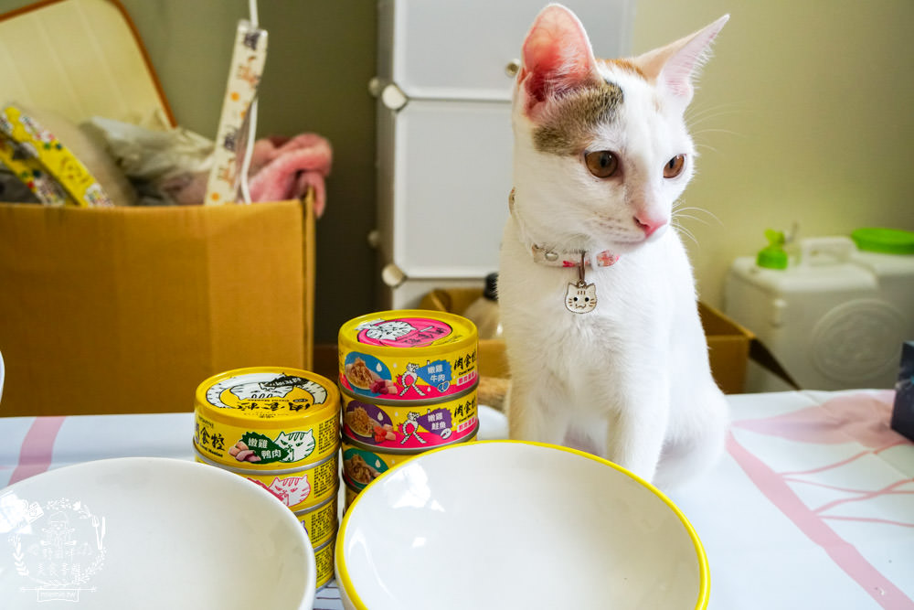 喵樂肉食控評價!喵樂肉食控主食罐高達98%含肉量!有SGS成分分析報告也符合AAFCO、NRC|超高含肉量貓罐開箱