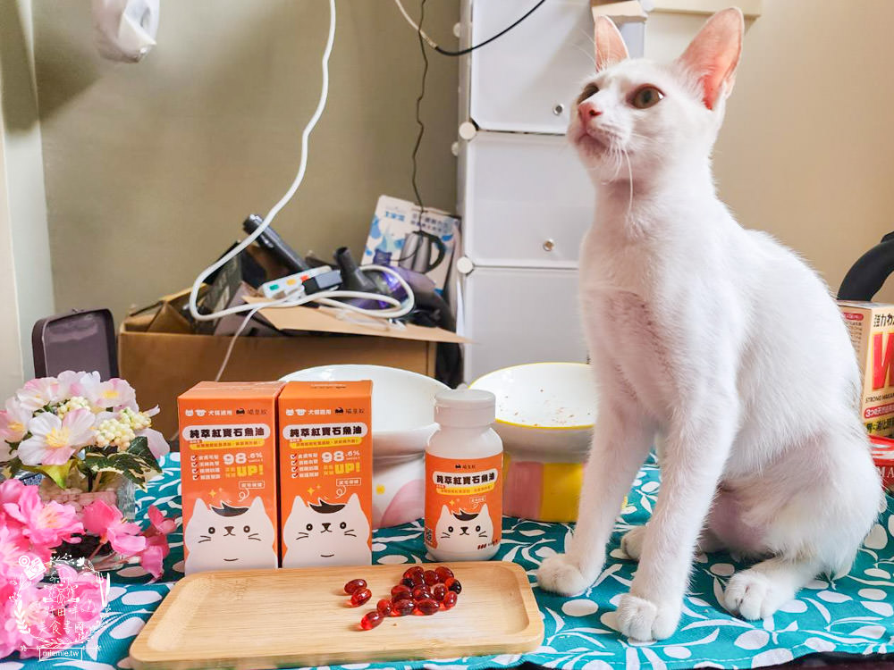 寵物魚油推薦|喵皇奴純萃紅寶石魚油|Omega-3濃度檢驗98.6%!高純度80%游離態蝦紅素，rTG型態更容易吸收！