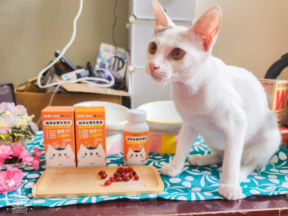 寵物魚油推薦|喵皇奴純萃紅寶石魚油|Omega-3濃度檢驗98.6%!高純度80%游離態蝦紅素，rTG型態更容易吸收！