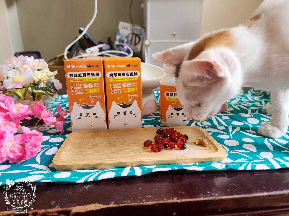 寵物魚油推薦|喵皇奴純萃紅寶石魚油|Omega-3濃度檢驗98.6%!高純度80%游離態蝦紅素，rTG型態更容易吸收！