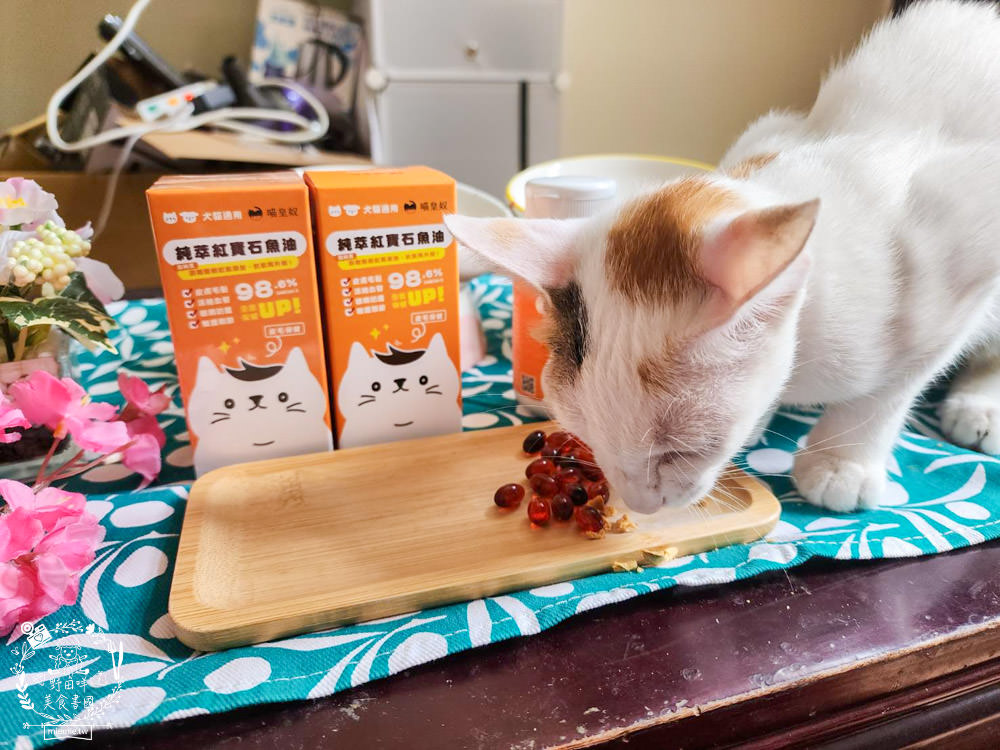 寵物魚油推薦|喵皇奴純萃紅寶石魚油|Omega-3濃度檢驗98.6%!高純度80%游離態蝦紅素，rTG型態更容易吸收！