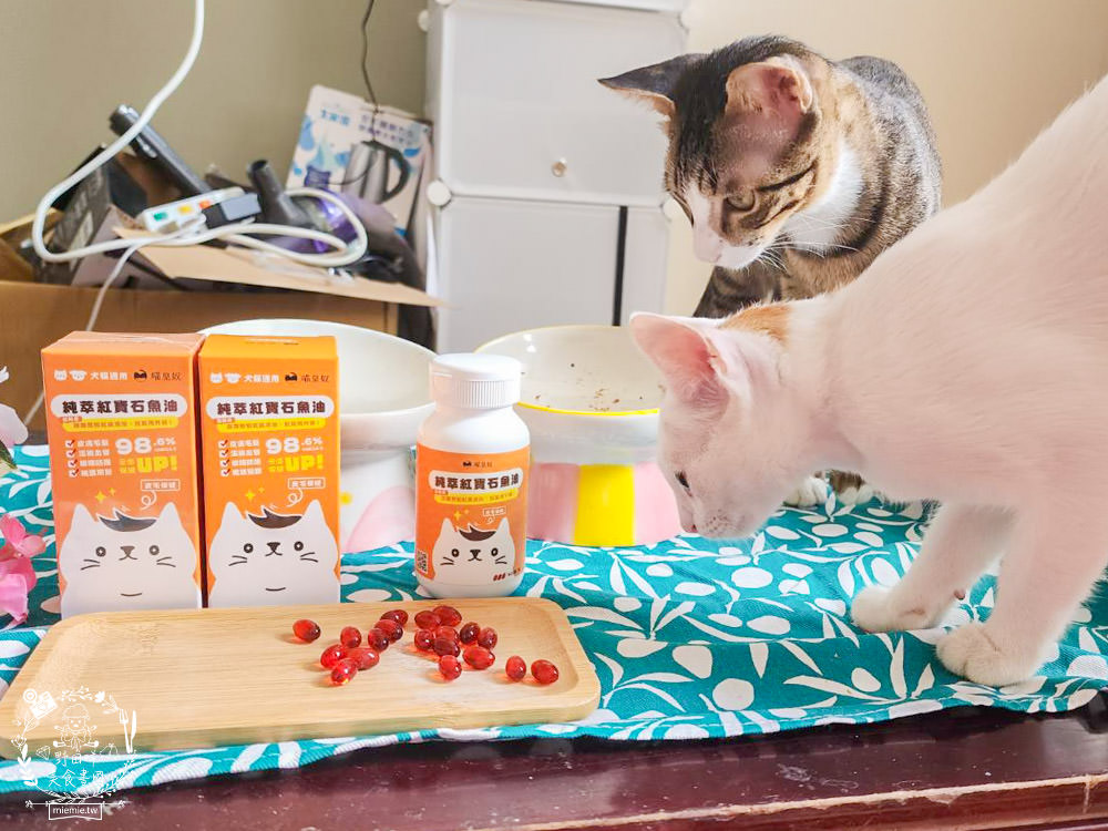 寵物魚油推薦|喵皇奴純萃紅寶石魚油|Omega-3濃度檢驗98.6%!高純度80%游離態蝦紅素，rTG型態更容易吸收！