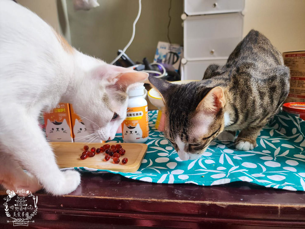 寵物魚油推薦|喵皇奴純萃紅寶石魚油|Omega-3濃度檢驗98.6%!高純度80%游離態蝦紅素，rTG型態更容易吸收！