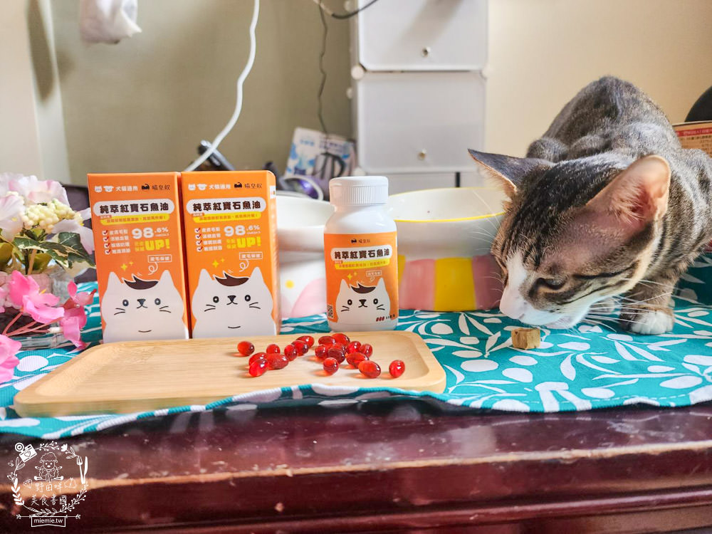 寵物魚油推薦|喵皇奴純萃紅寶石魚油|Omega-3濃度檢驗98.6%!高純度80%游離態蝦紅素，rTG型態更容易吸收！