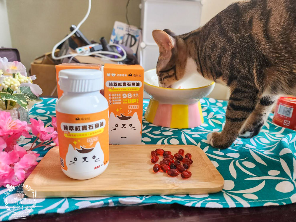 寵物魚油推薦|喵皇奴純萃紅寶石魚油|Omega-3濃度檢驗98.6%!高純度80%游離態蝦紅素，rTG型態更容易吸收！