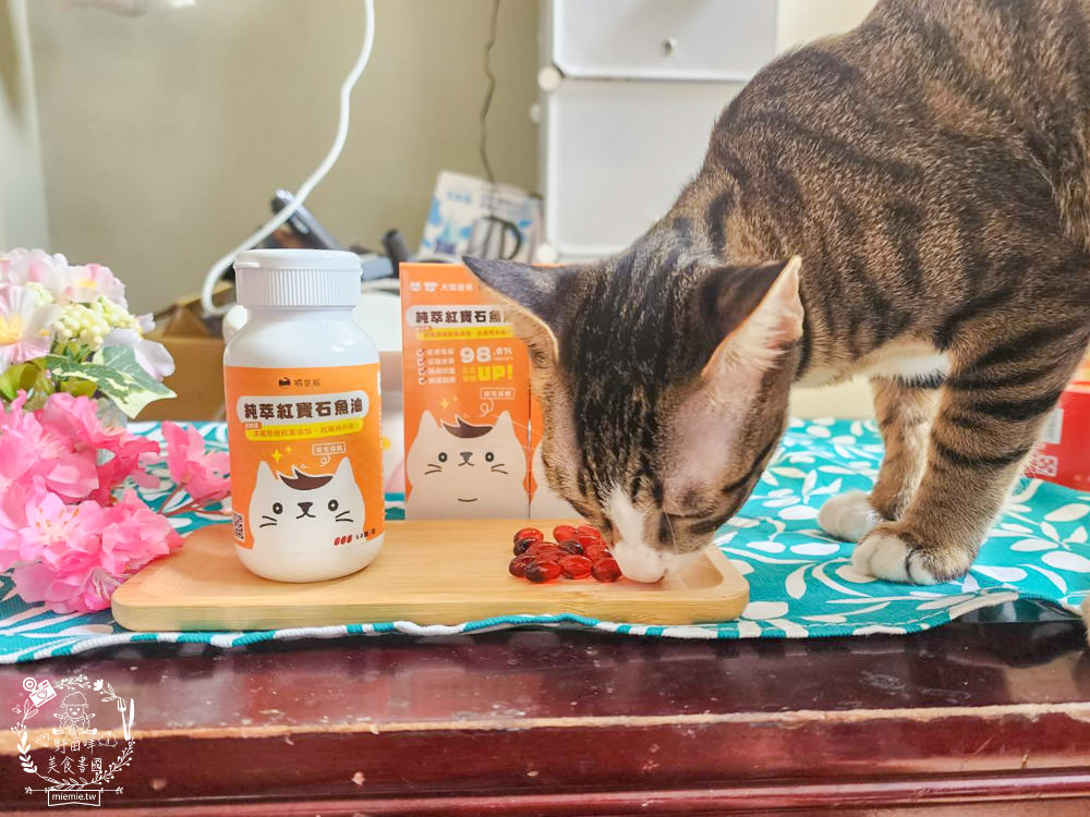 寵物魚油推薦|喵皇奴純萃紅寶石魚油|Omega-3濃度檢驗98.6%!高純度80%游離態蝦紅素，rTG型態更容易吸收！