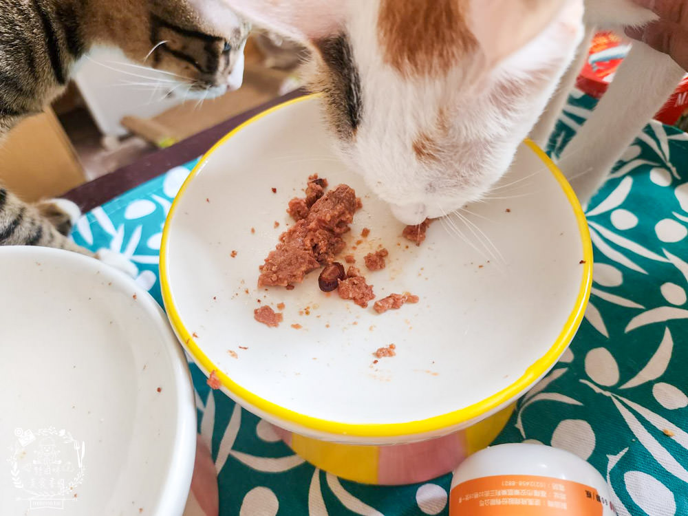 寵物魚油推薦|喵皇奴純萃紅寶石魚油|Omega-3濃度檢驗98.6%!高純度80%游離態蝦紅素，rTG型態更容易吸收！