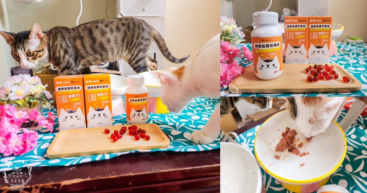 寵物魚油推薦|喵皇奴純萃紅寶石魚油|Omega-3濃度檢驗98.6%!高純度80%游離態蝦紅素，rTG型態更容易吸收！