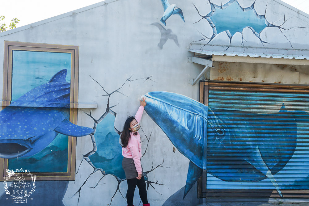 布袋景點[好美里3D彩繪村]嘉義獨一無二隱藏版彩繪村!超KUSO彩繪讓人拍到忘我?