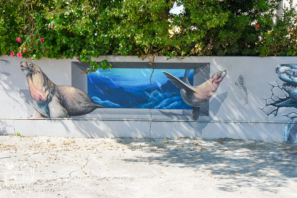 布袋景點[好美里3D彩繪村]嘉義獨一無二隱藏版彩繪村!超KUSO彩繪讓人拍到忘我?