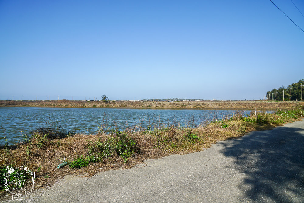 好美里秘境1920號保安林!碧海藍天的水漾森林!超美倒映適合網美親子拍照? - 第2張圖 好美里秘境1920號保安林!碧海藍天的水漾森林!超美倒映適合網美親子拍照?
