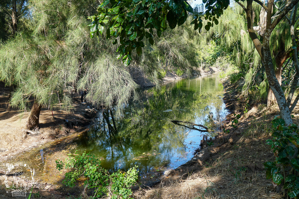 好美里秘境1920號保安林!碧海藍天的水漾森林!超美倒映適合網美親子拍照? - 第13張圖 好美里秘境1920號保安林!碧海藍天的水漾森林!超美倒映適合網美親子拍照?