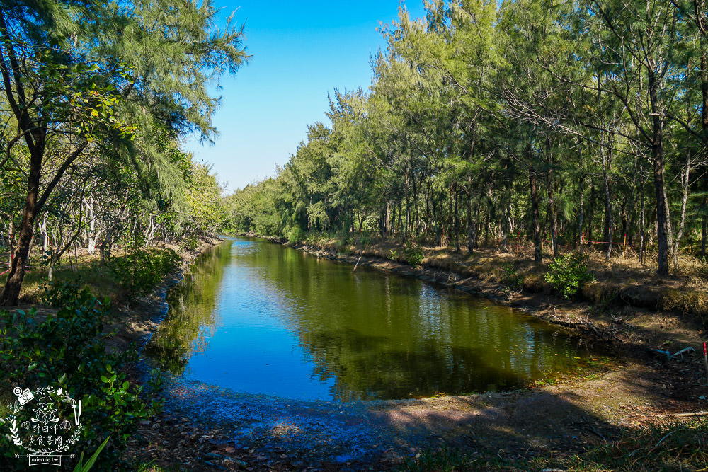 好美里秘境1920號保安林!碧海藍天的水漾森林!超美倒映適合網美親子拍照? - 第16張圖 好美里秘境1920號保安林!碧海藍天的水漾森林!超美倒映適合網美親子拍照?