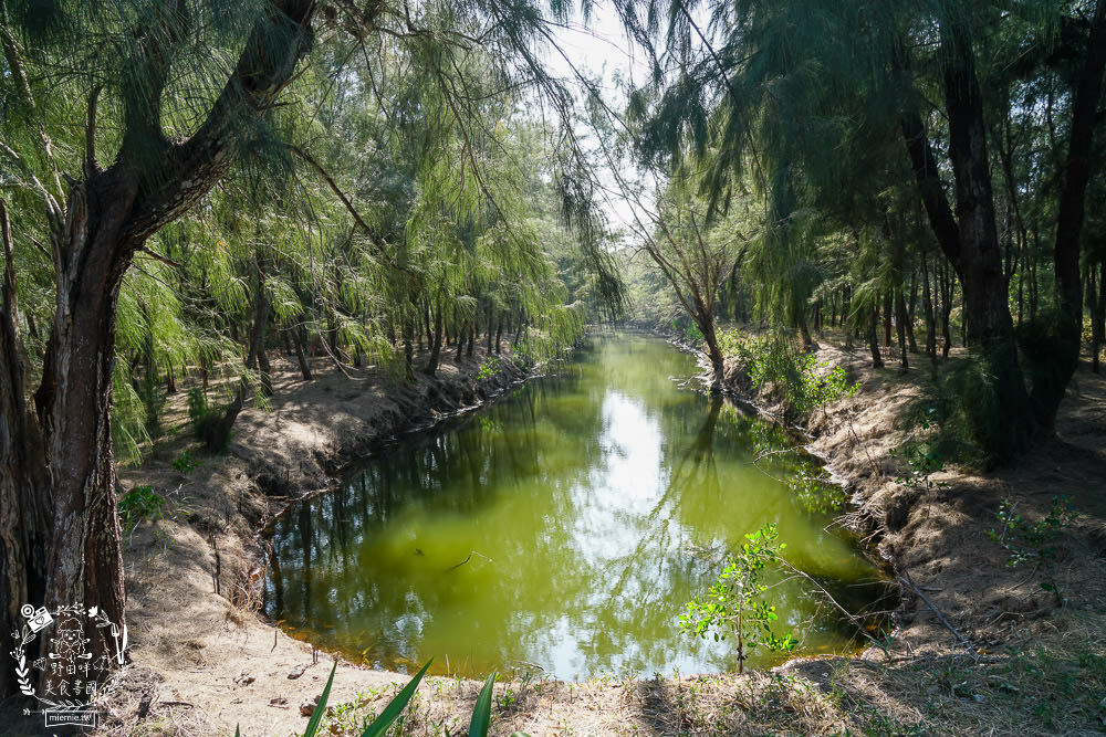 好美里秘境1920號保安林!碧海藍天的水漾森林!超美倒映適合網美親子拍照? - 第17張圖 好美里秘境1920號保安林!碧海藍天的水漾森林!超美倒映適合網美親子拍照?