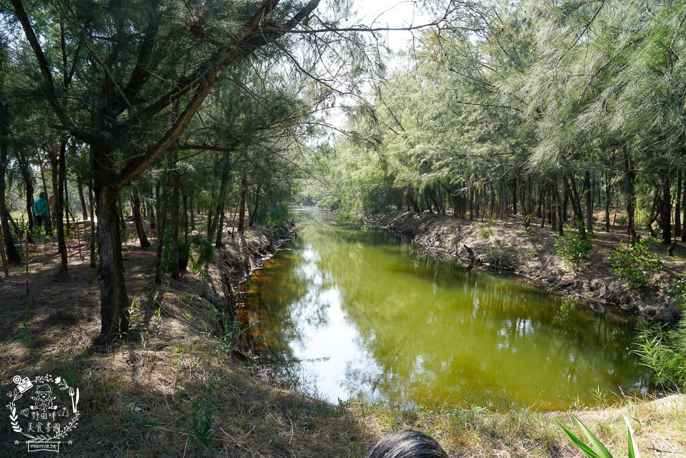 好美里秘境1920號保安林!碧海藍天的水漾森林!超美倒映適合網美親子拍照? - 第19張圖 好美里秘境1920號保安林!碧海藍天的水漾森林!超美倒映適合網美親子拍照?