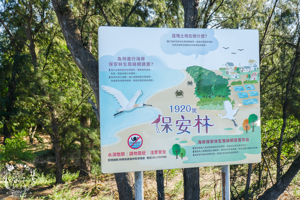 好美里秘境1920號保安林!碧海藍天的水漾森林!超美倒映適合網美親子拍照? - 第3張圖 好美里秘境1920號保安林!碧海藍天的水漾森林!超美倒映適合網美親子拍照?