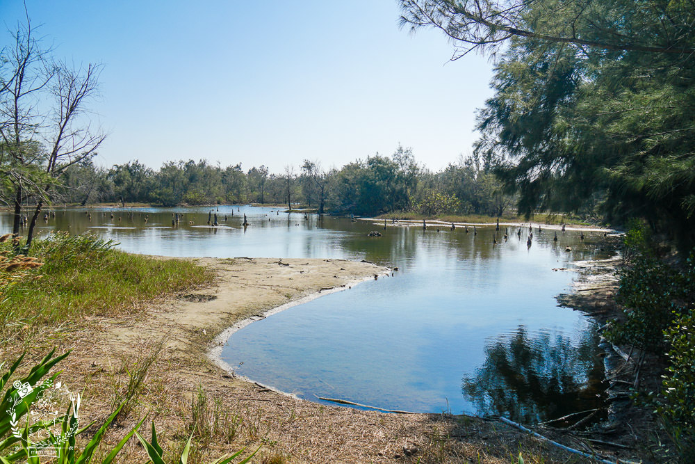 好美里秘境1920號保安林!碧海藍天的水漾森林!超美倒映適合網美親子拍照? - 第20張圖 好美里秘境1920號保安林!碧海藍天的水漾森林!超美倒映適合網美親子拍照?