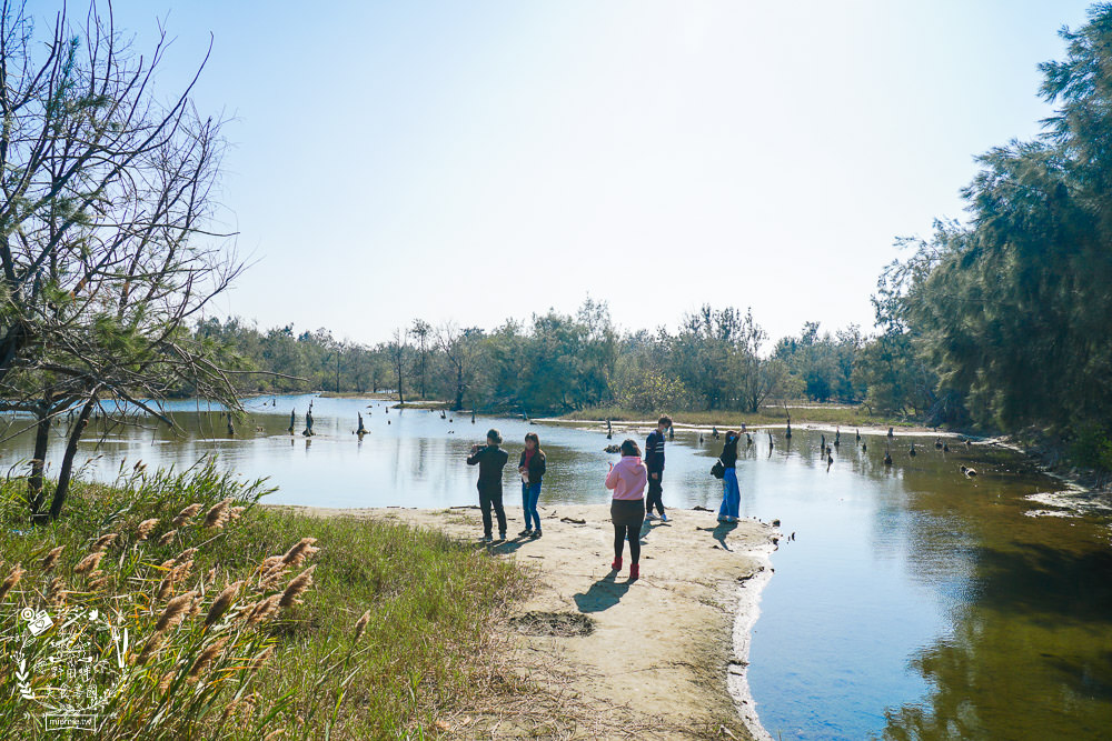 好美里秘境1920號保安林!碧海藍天的水漾森林!超美倒映適合網美親子拍照? - 第24張圖 好美里秘境1920號保安林!碧海藍天的水漾森林!超美倒映適合網美親子拍照?