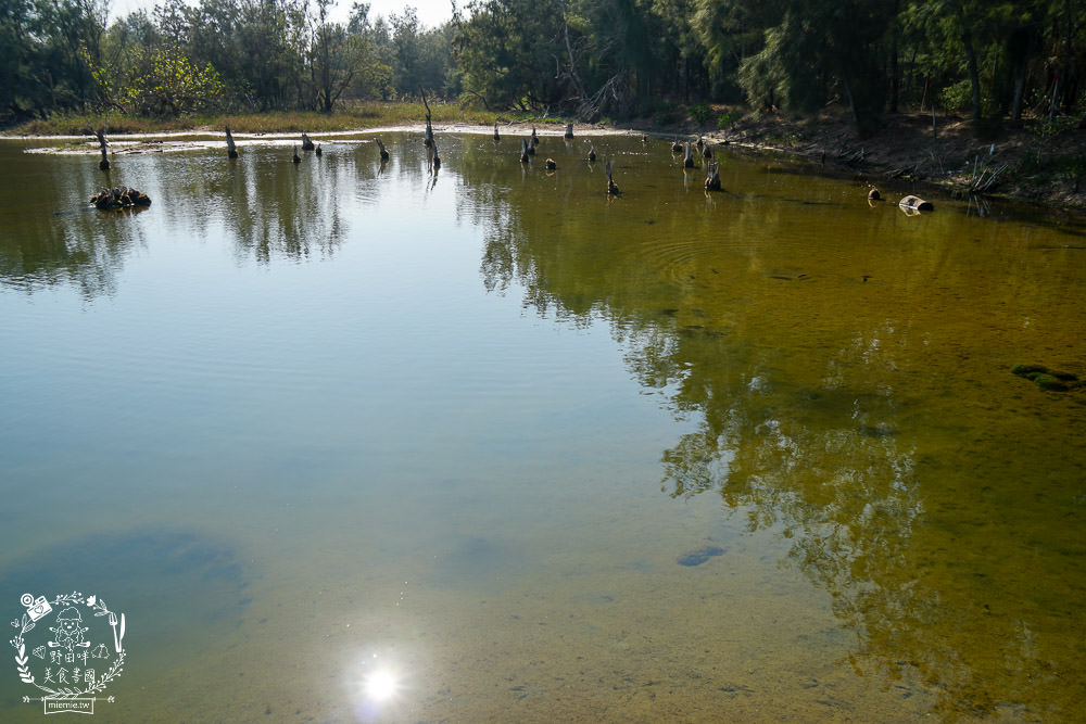 好美里秘境1920號保安林!碧海藍天的水漾森林!超美倒映適合網美親子拍照? - 第25張圖 好美里秘境1920號保安林!碧海藍天的水漾森林!超美倒映適合網美親子拍照?