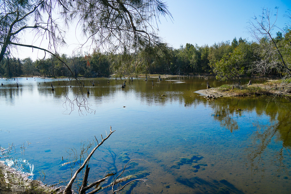 好美里秘境1920號保安林!碧海藍天的水漾森林!超美倒映適合網美親子拍照? - 第29張圖 好美里秘境1920號保安林!碧海藍天的水漾森林!超美倒映適合網美親子拍照?