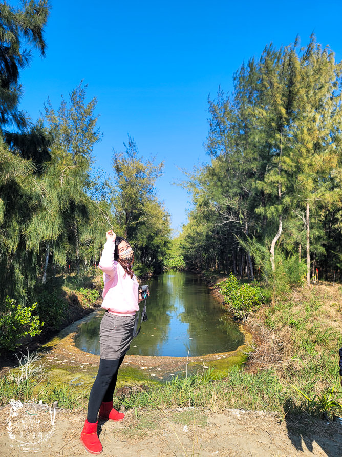 好美里秘境1920號保安林!碧海藍天的水漾森林!超美倒映適合網美親子拍照? - 第15張圖 好美里秘境1920號保安林!碧海藍天的水漾森林!超美倒映適合網美親子拍照?