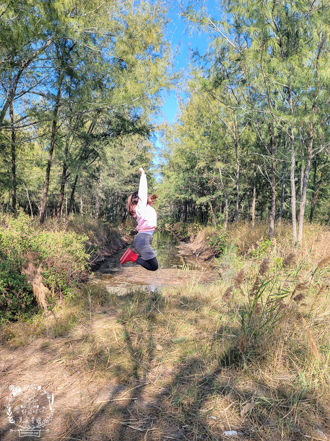 好美里秘境1920號保安林!碧海藍天的水漾森林!超美倒映適合網美親子拍照? - 第23張圖 好美里秘境1920號保安林!碧海藍天的水漾森林!超美倒映適合網美親子拍照?